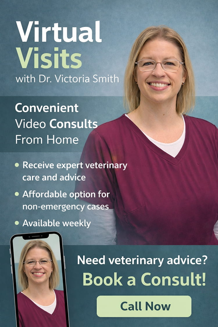 VVMA logo transparent background